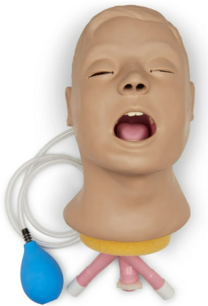 Mentone Nasco Life Form® Adult Airway Management Trainer Manikin